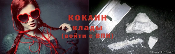 крисы Баксан