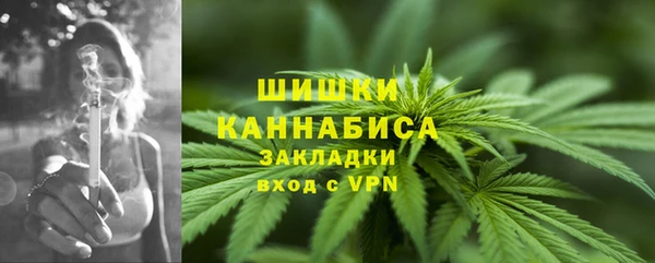 крисы Баксан
