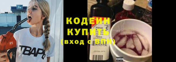 крисы Баксан