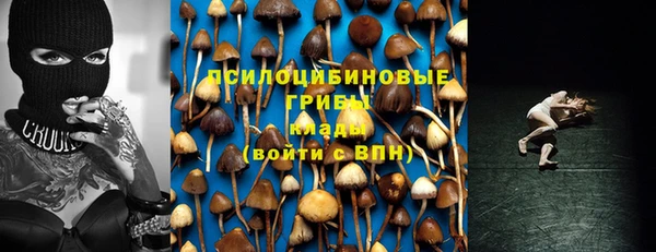 крисы Баксан