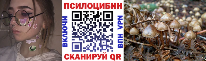 Псилоцибиновые грибы GOLDEN TEACHER  Гудермес 